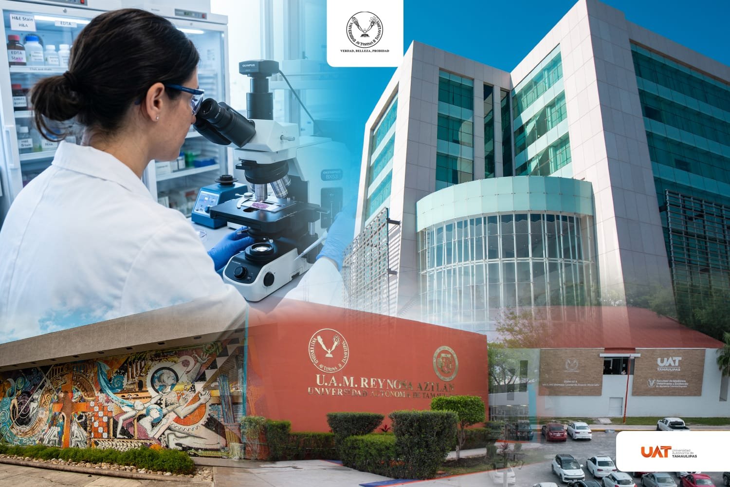 Innovación de la UAT avanza con patentes orientadas a salud y ambiente