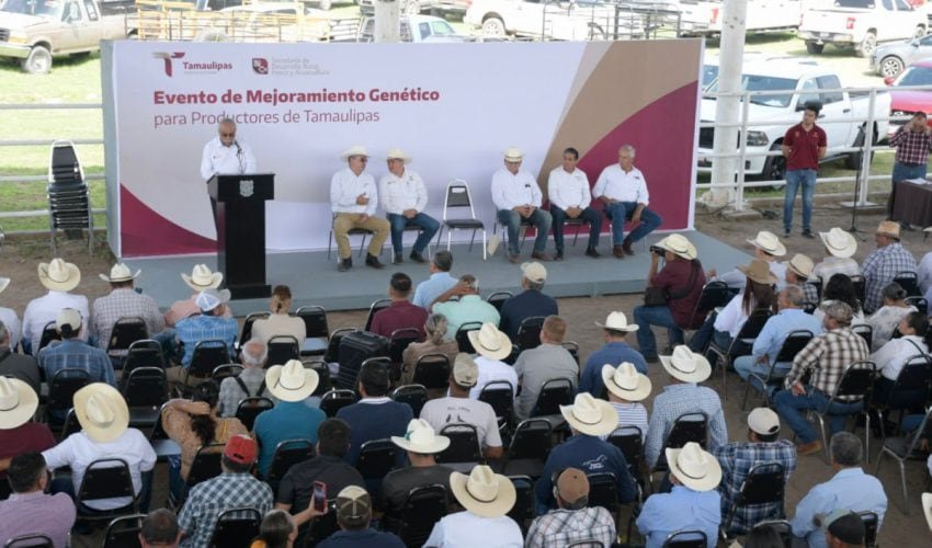 Ganadería tamaulipeca recibe impulso para elevar productividad rural