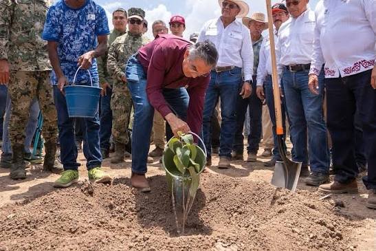 Tamaulipas se suma a la reforestación nacional con siembras en municipios y localidades